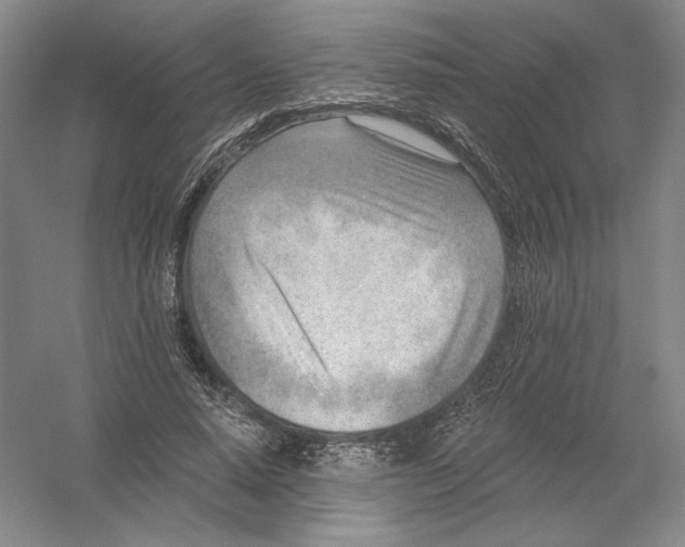 X0000054380640200508270008