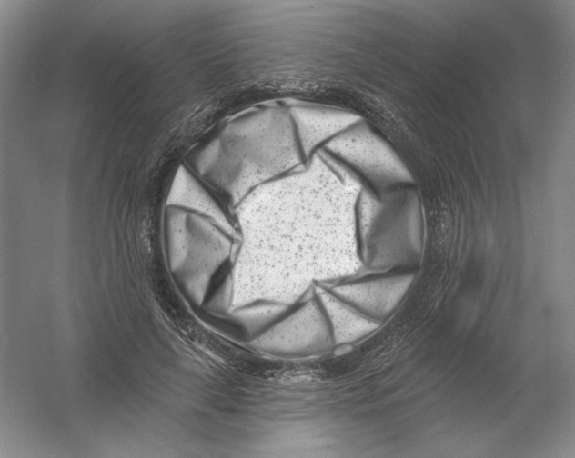 X0000054380643200508270008