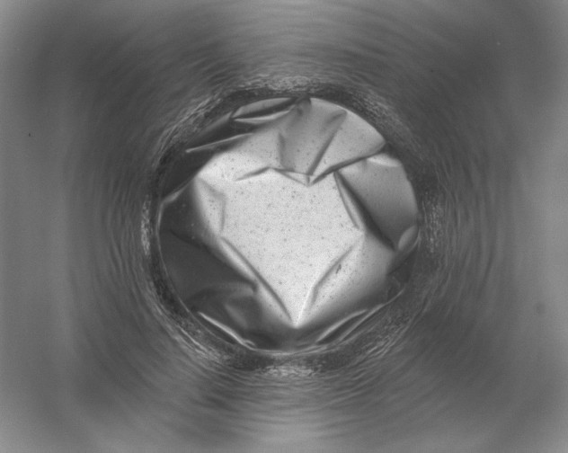 X0000054380644200508270008