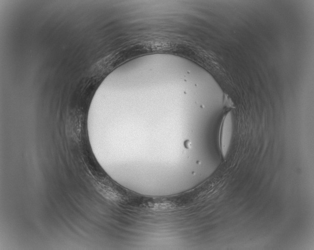 X0000054380645200508270008