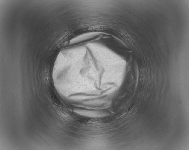 X0000054380648200508270008