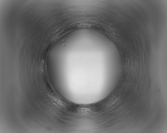 X0000054380649200508270008