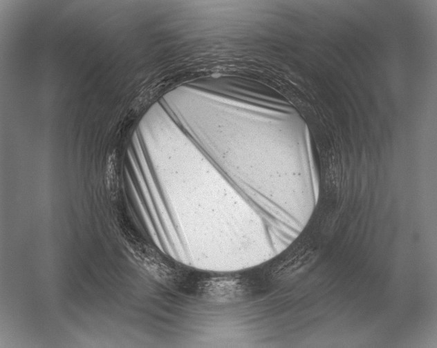 X0000054380651200508270009