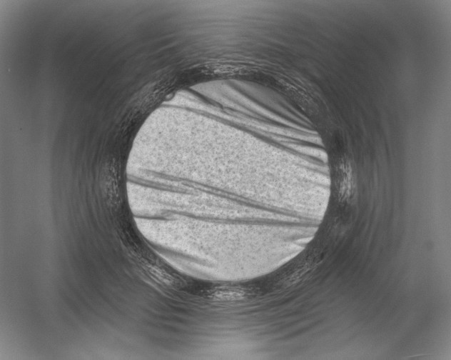 X0000054380653200508270009