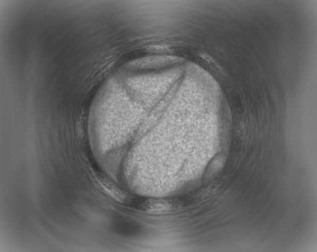 X0000054380658200508270009