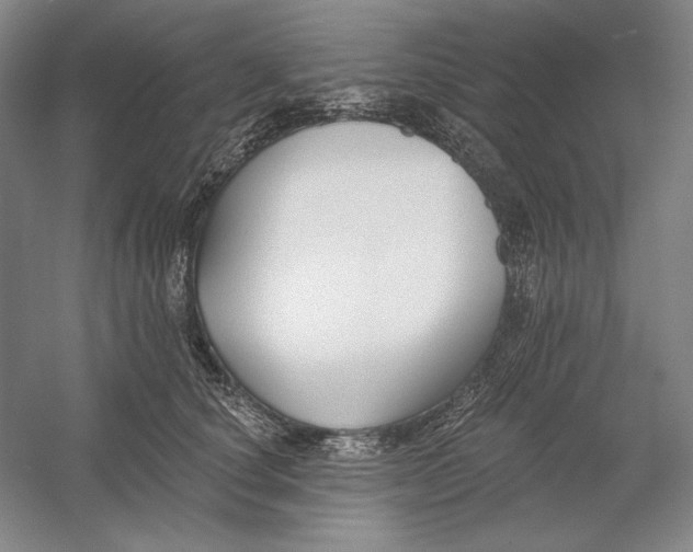 X0000054380660200508270009