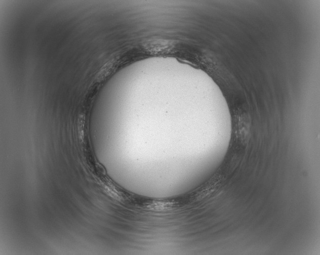 X0000054380664200508270009