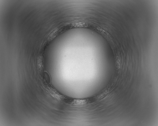 X0000054380665200508270009