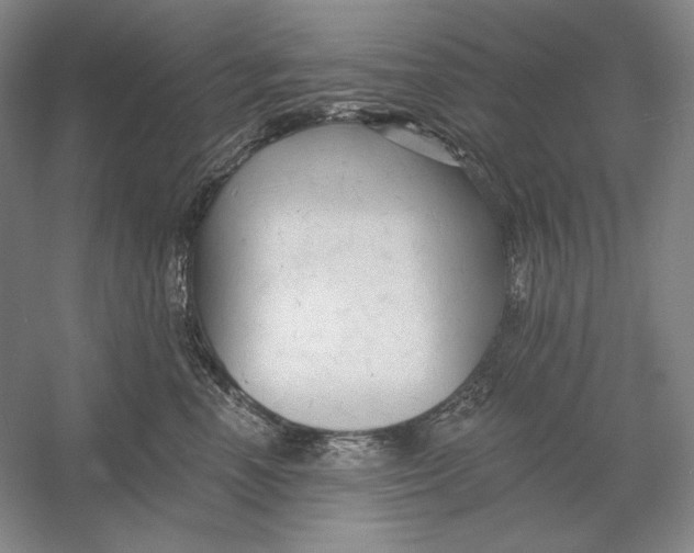 X0000054380666200508270009