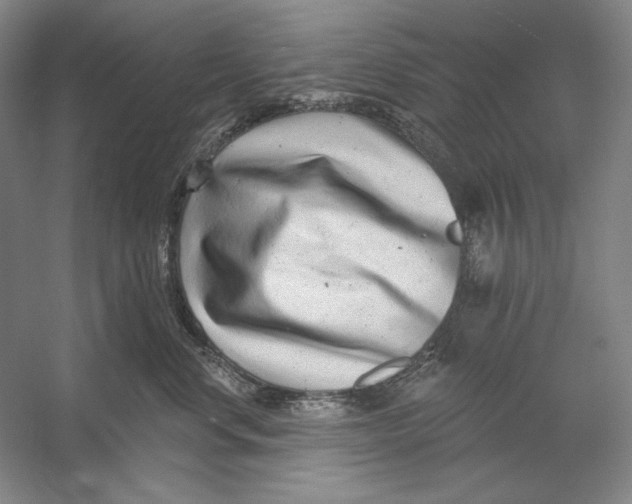 X0000054380668200508270009