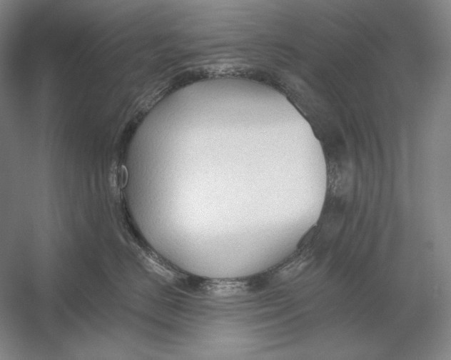 X0000054380670200508270009