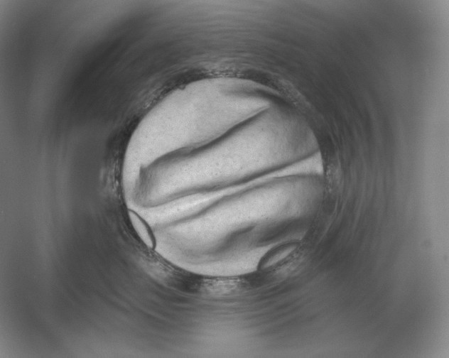 X0000054380671200508270009