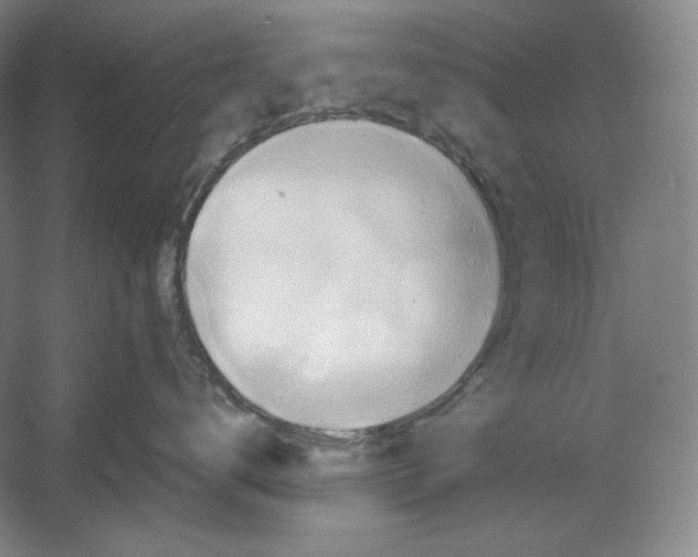 X0000054380672200508270009