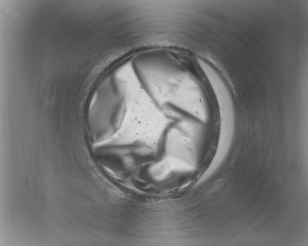 X0000054380673200508270008