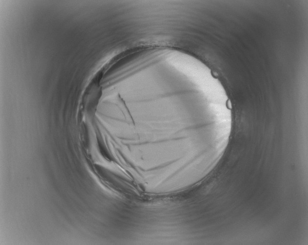 X0000054380674200508270008