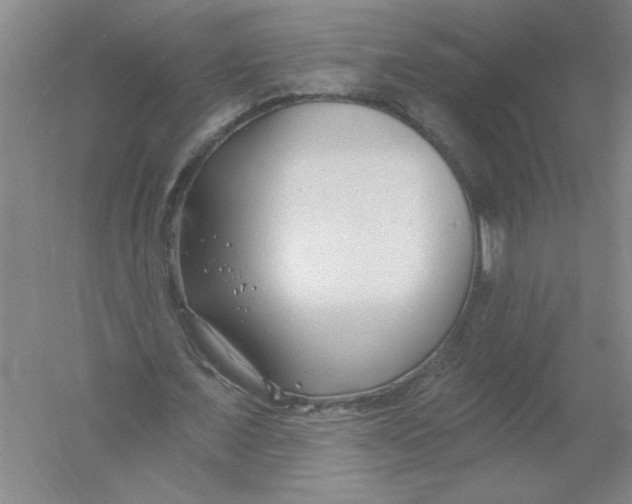 X0000054380675200508270008