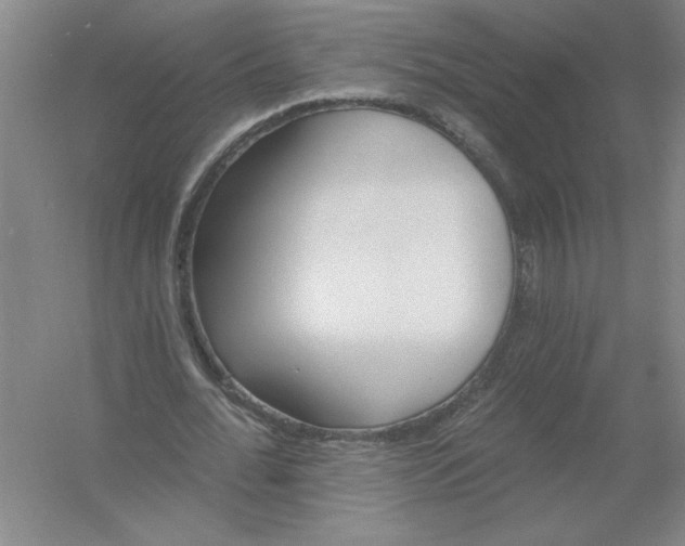 X0000054380676200508270008