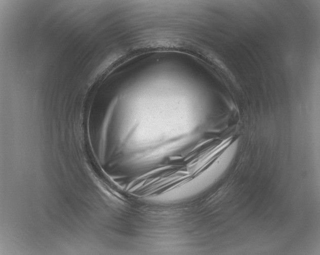 X0000054380677200508270008