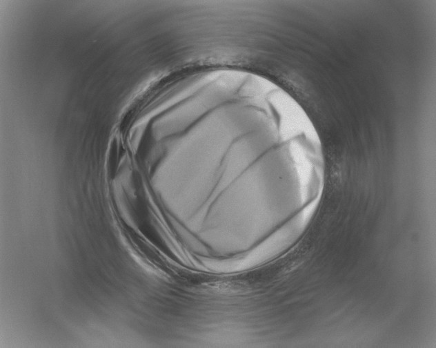 X0000054380678200508270008