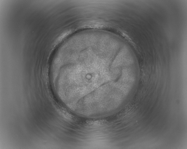 X0000054380679200508270008