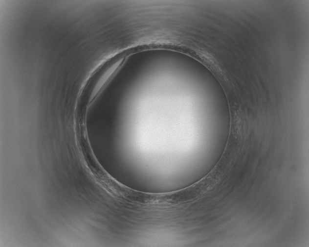 X0000054380680200508270008