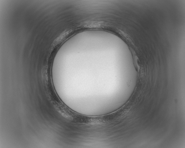 X0000054380682200508270008