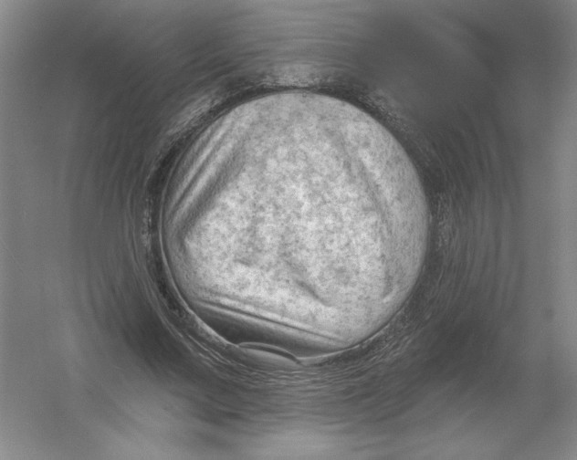 X0000054380683200508270008