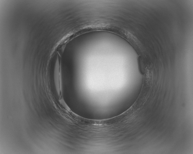 X0000054380684200508270008