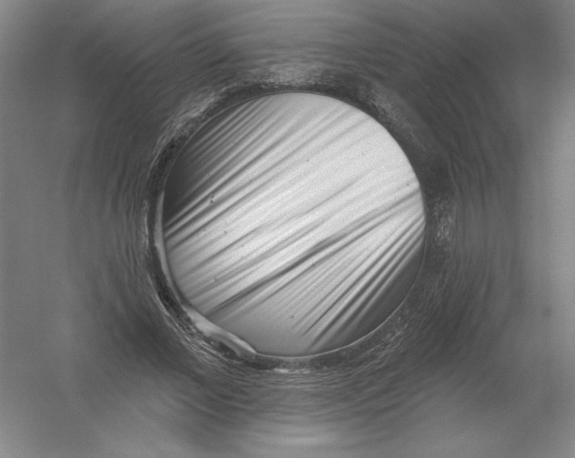 X0000054380685200508270008