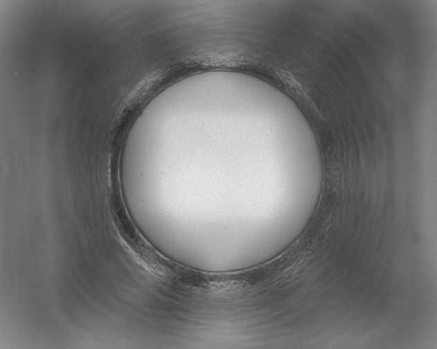 X0000054380686200508270008