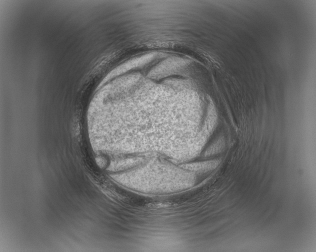 X0000054380687200508270008