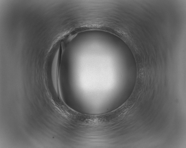 X0000054380688200508270008