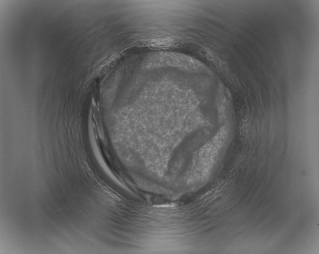 X0000054380689200508270008