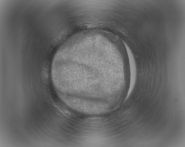 X0000054380691200508270008