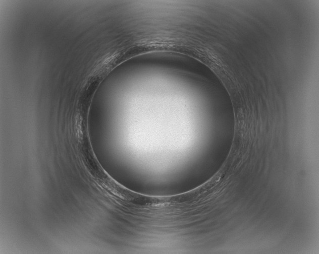 X0000054380692200508270008