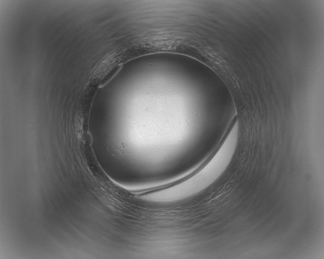 X0000054380693200508270008