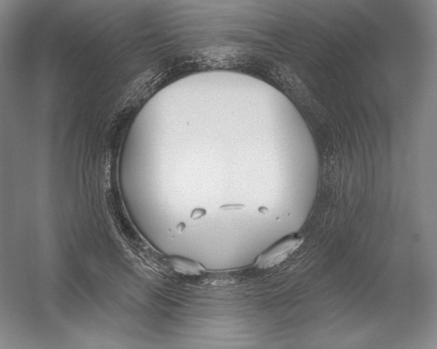 X0000054380694200508270008