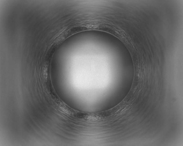 X0000054380697200508270008