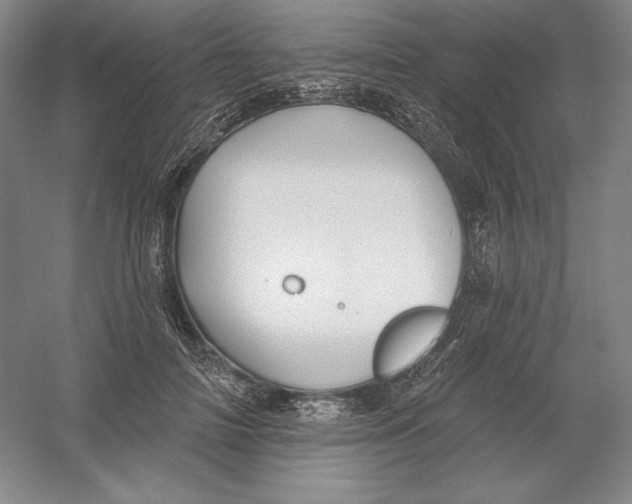 X0000054380698200508270008