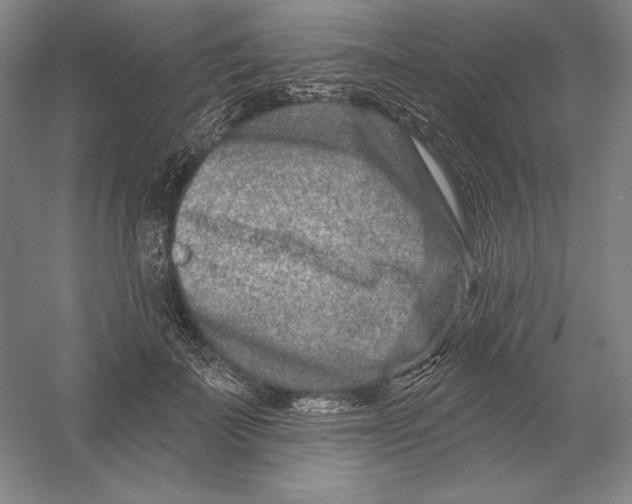 X0000054380699200508270008