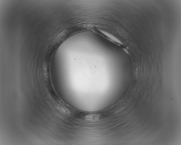 X0000054380700200508270008