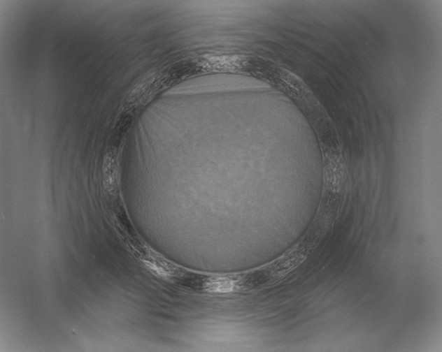 X0000054380701200508270008