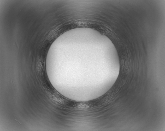 X0000054380702200508270008