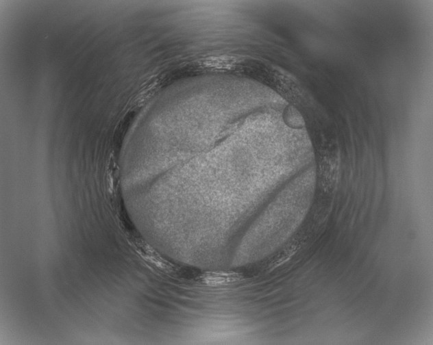 X0000054380707200508270007