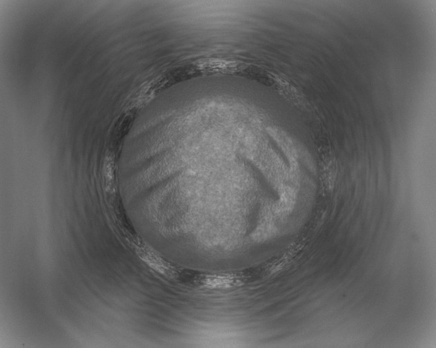 X0000054380709200508270007