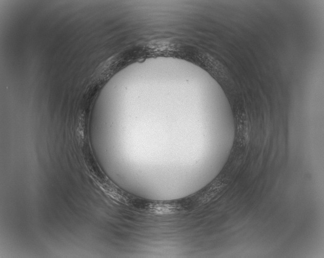 X0000054380710200508270007