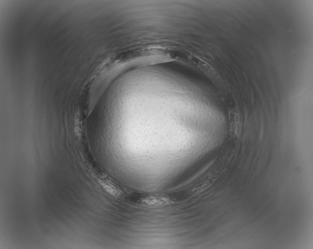 X0000054380712200508270007