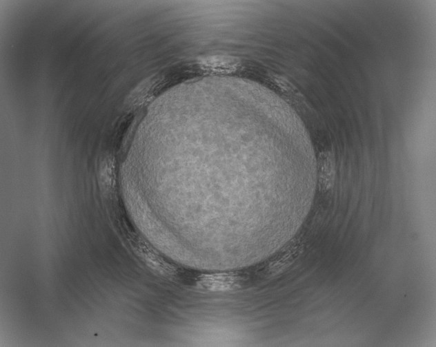 X0000054380713200508270007