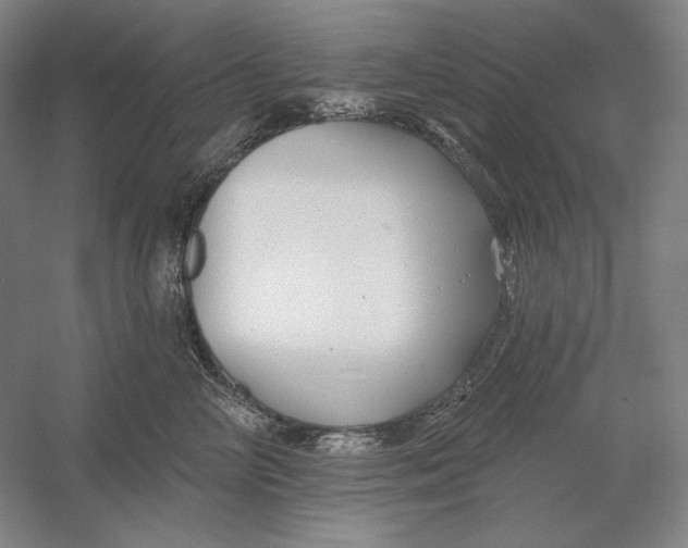 X0000054380714200508270007