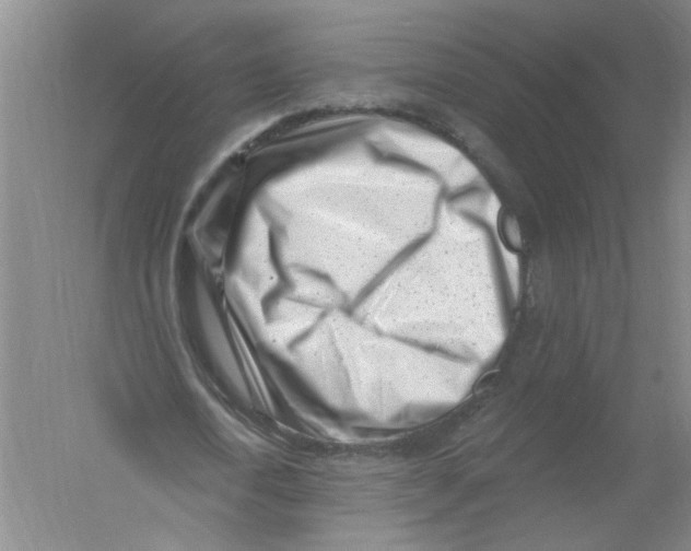 X0000054380722200508270006